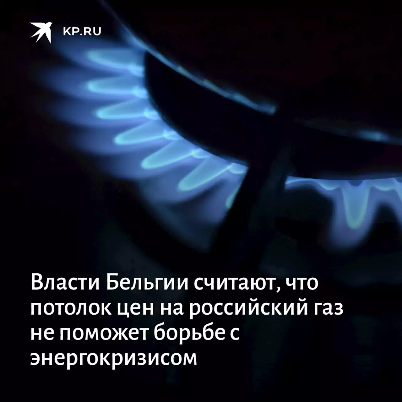 Власти Бельгии считают, что потолок цен на российский газ не поможет борьбе с энергокризисом