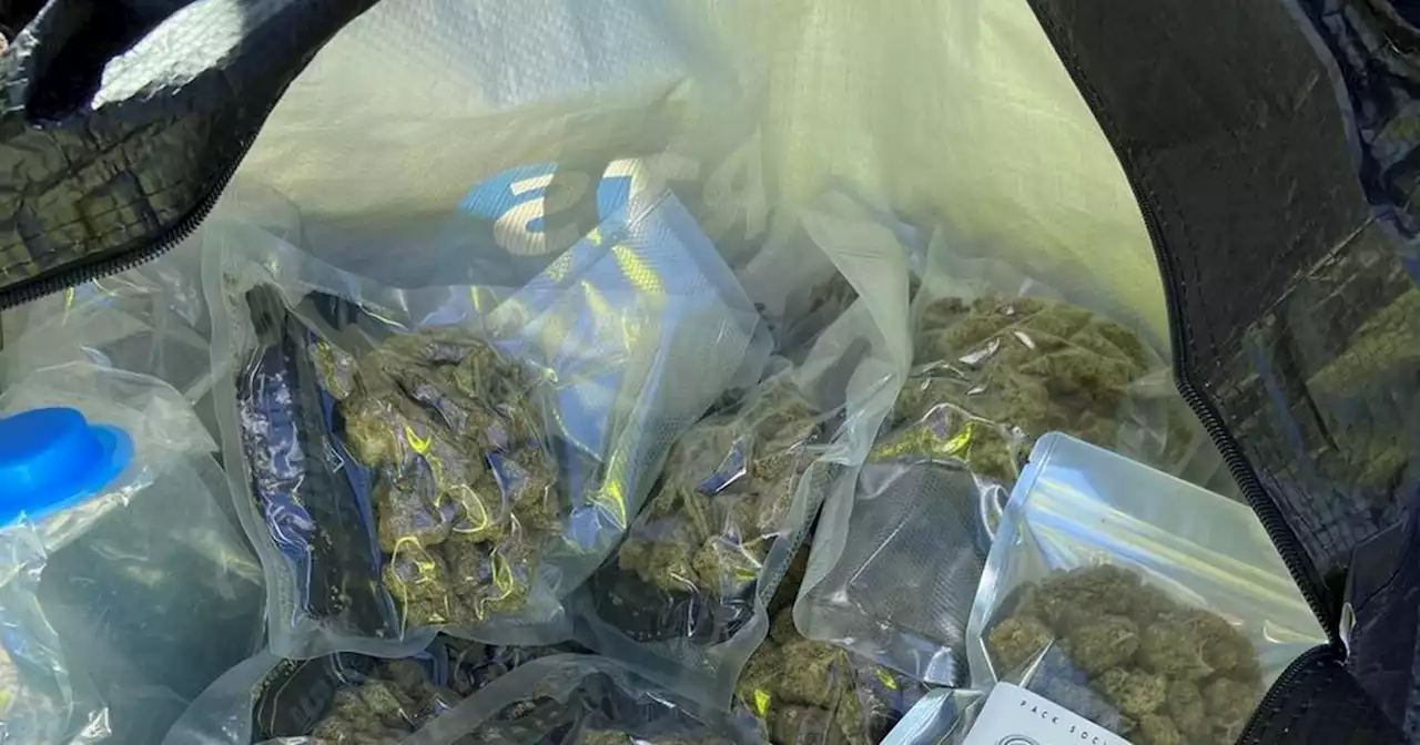 Police find large bag of cannabis during van search