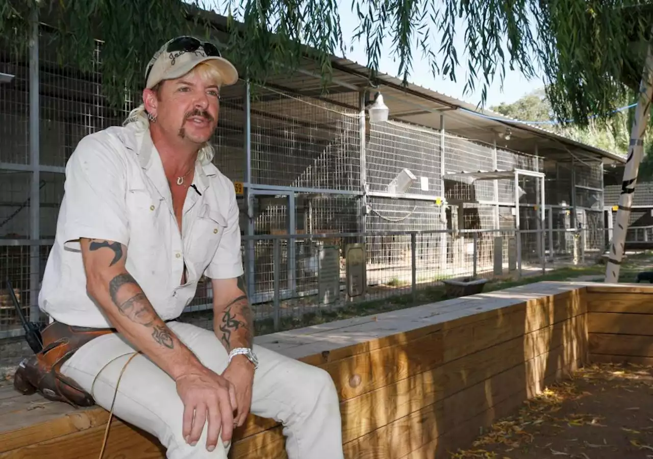 Joe Exotic wants his two-decade prison sentence ruled unconstitutional. Denver’s 10th Circuit doesn’t seem so sure.