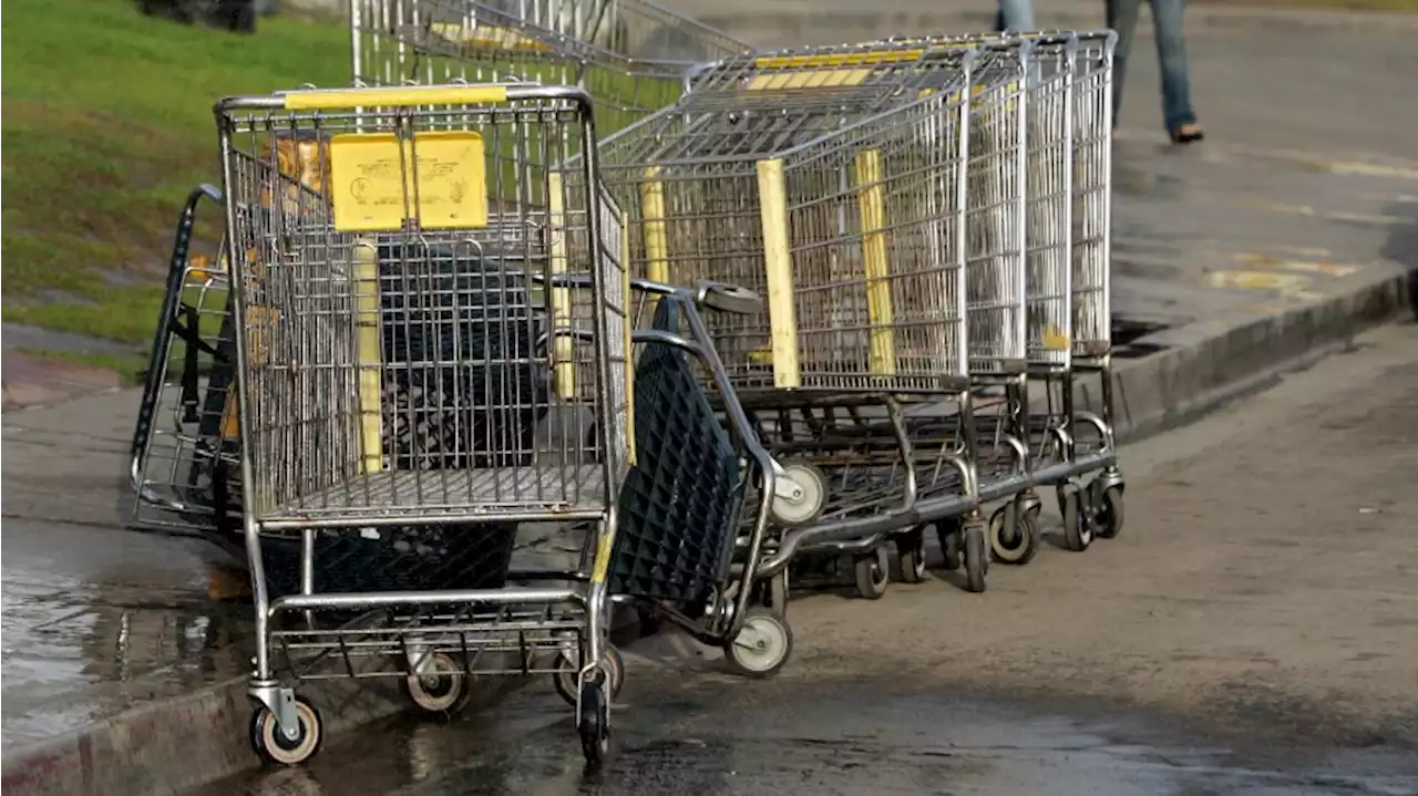 Abandoned shopping carts requiring coordinated response from Everett police