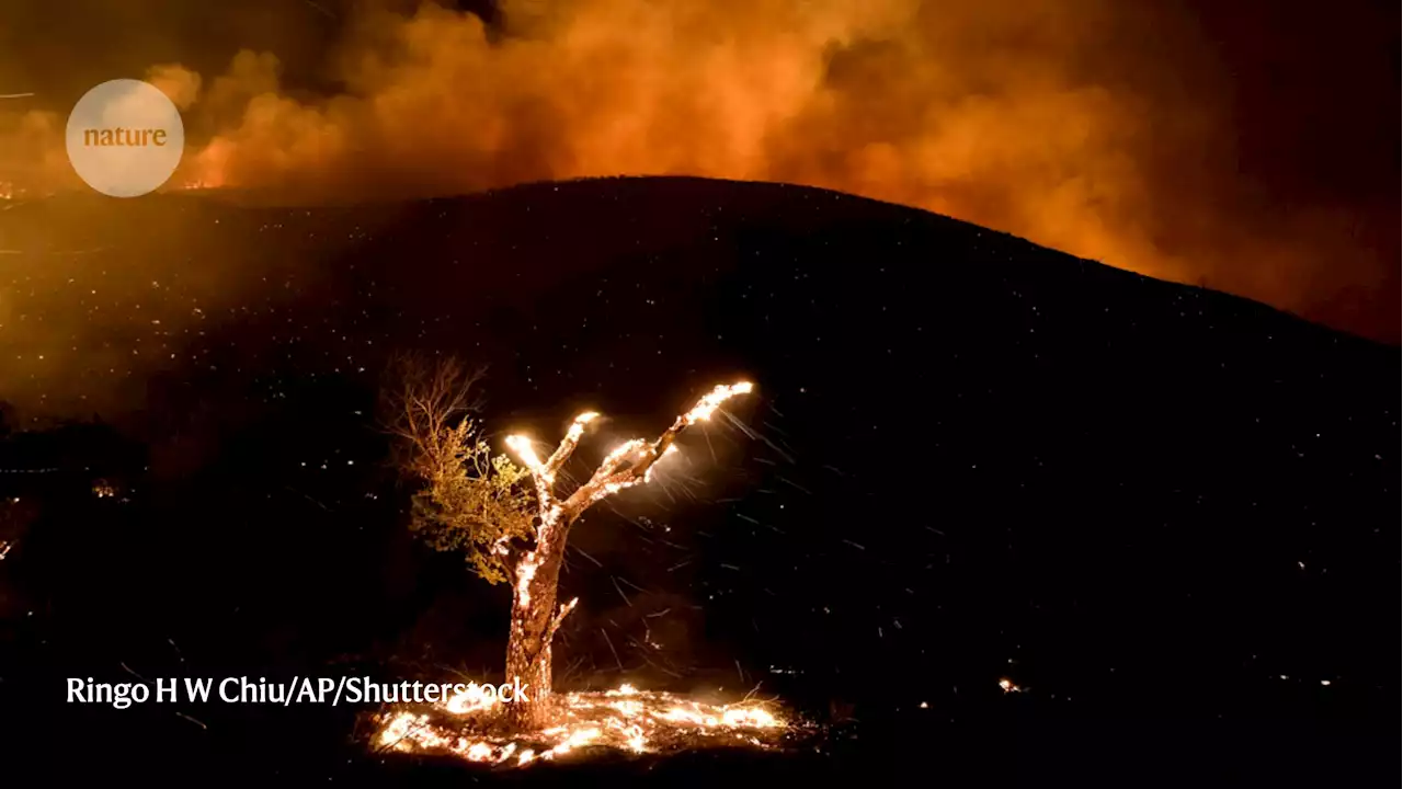 The month’s sharpest science shots, selected by Nature’s photo team