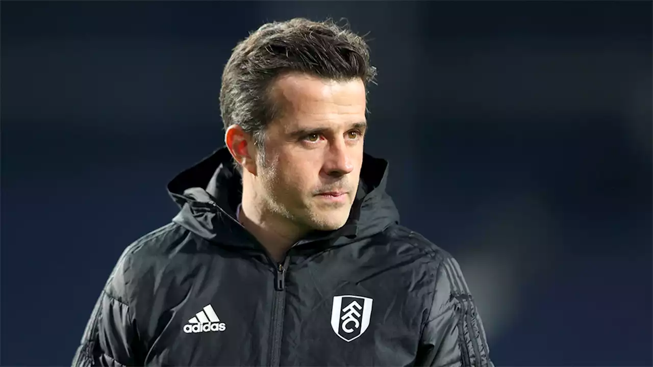 Fulham boss points to power on and off the pitch that Newcastle United have