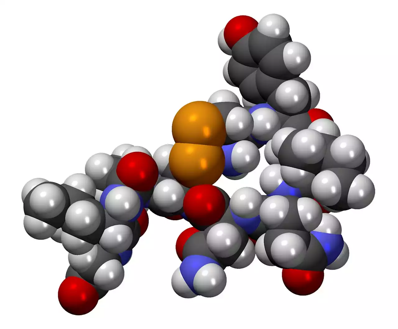 'Love hormone' is revealed to have heart healing properties