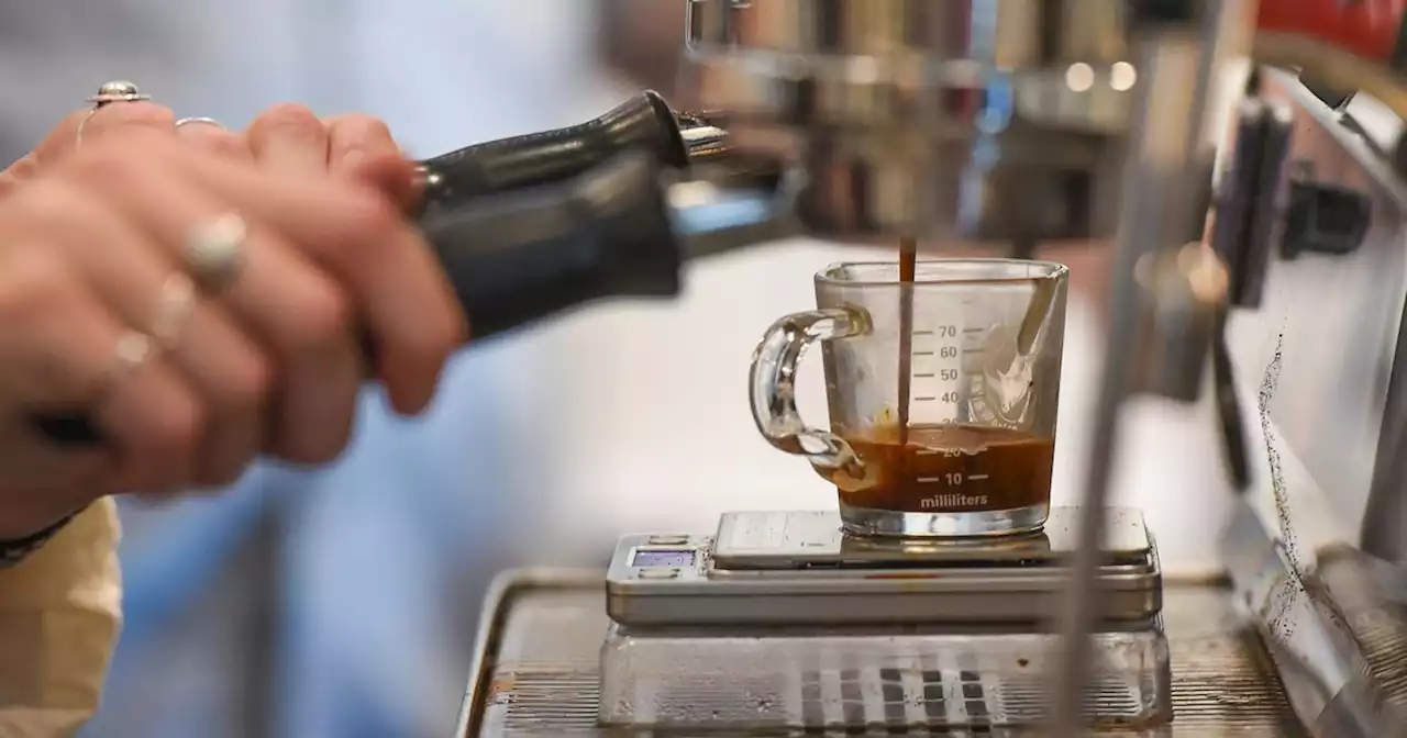 From Sugar House to Sandy, here are 11 Utah cafes to try on National Coffee Day