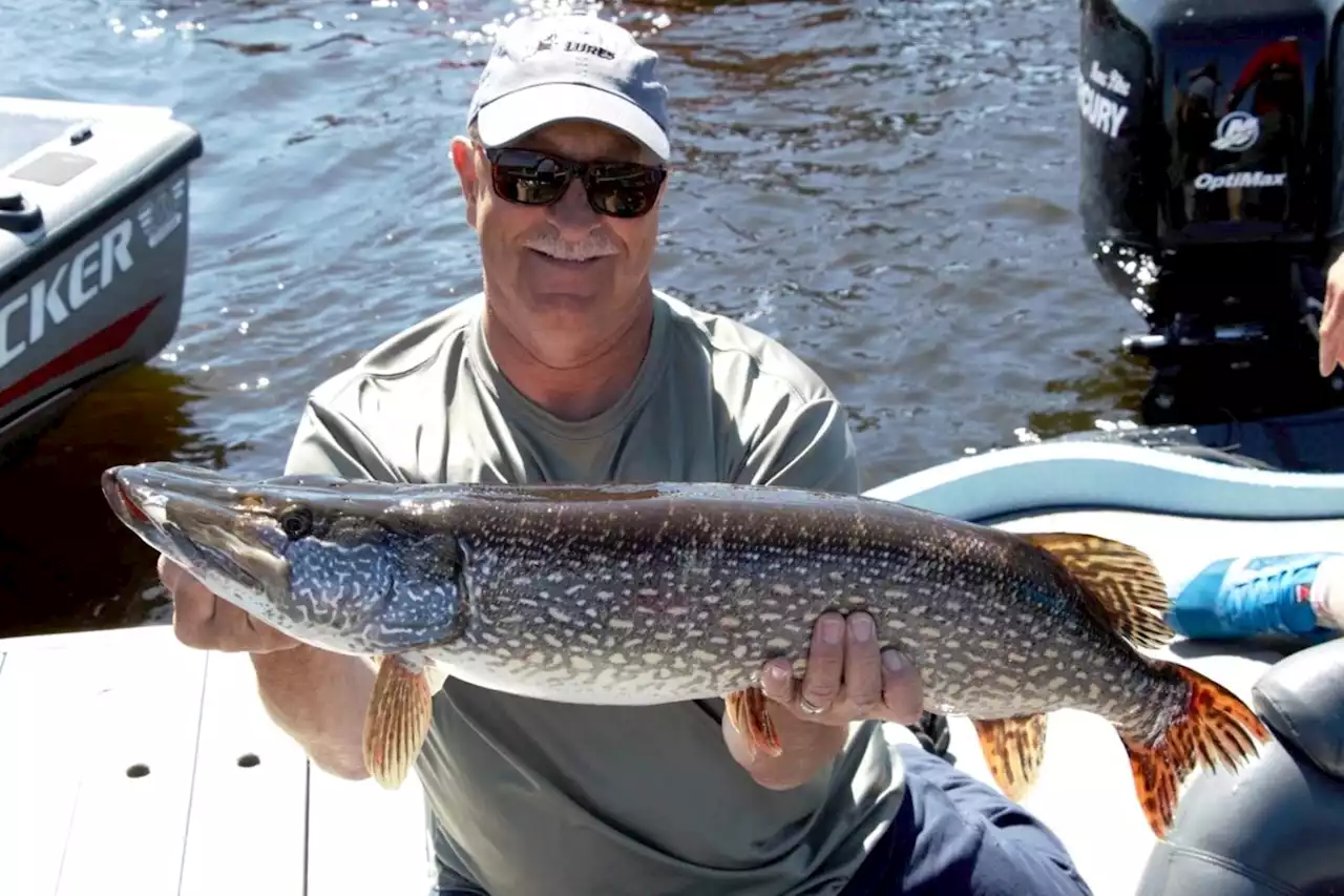 Bold: Adventures in pike with tournament angler Marc Pitre