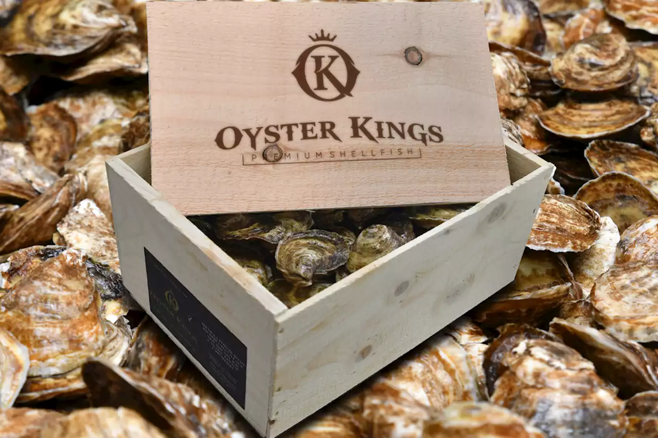 Several oyster brands recalled due to salmonella contamination