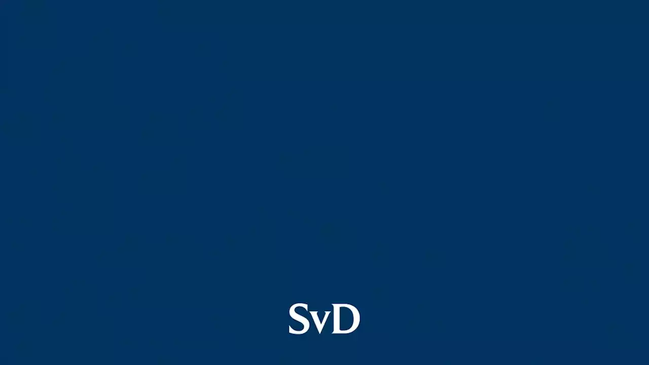 Sverige öppnar för vapenexport till Turkiet | SvD