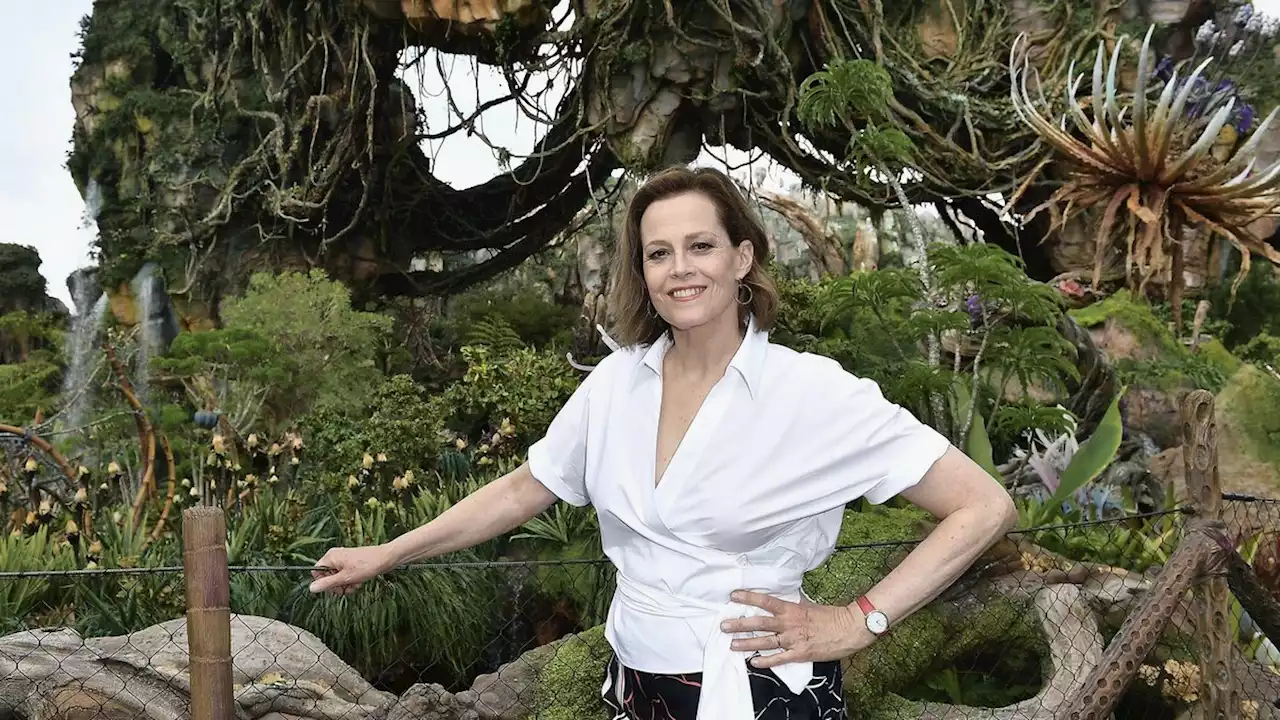 Sigourney Weaver says Avatar 2 is based on James Cameron's family