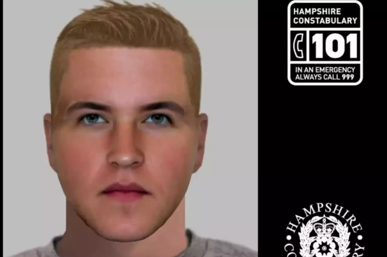 Urgent hunt for driver who 'tried to kidnap girl on street' as cops release e-fit