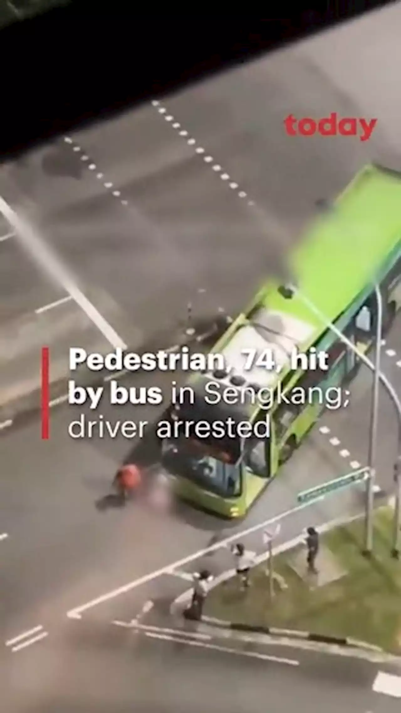 Bus hits 74-year-old pedestrian in Sengkang, driver arrested for careless driving