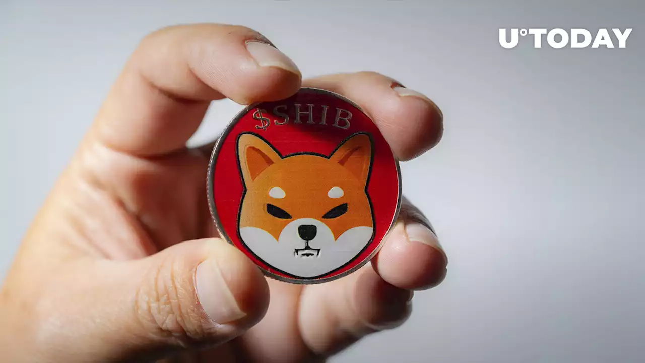 Shiba Inu (SHIB) Payments Now Accepted by 3rd Largest US Furniture Retailer: Details