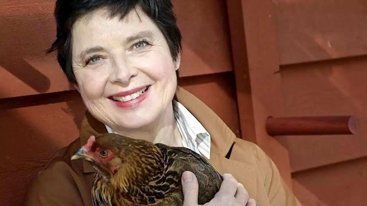 Isabella Rossellini si rigenera facendo la contadina, tra cani e caprette a Mama Farm