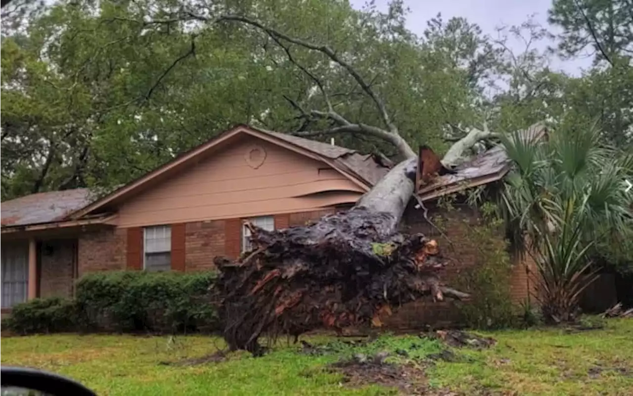 SnapJAX users share videos, photos of damage in Northeast Florida, Southeast Georgia from Tropical Storm Ian