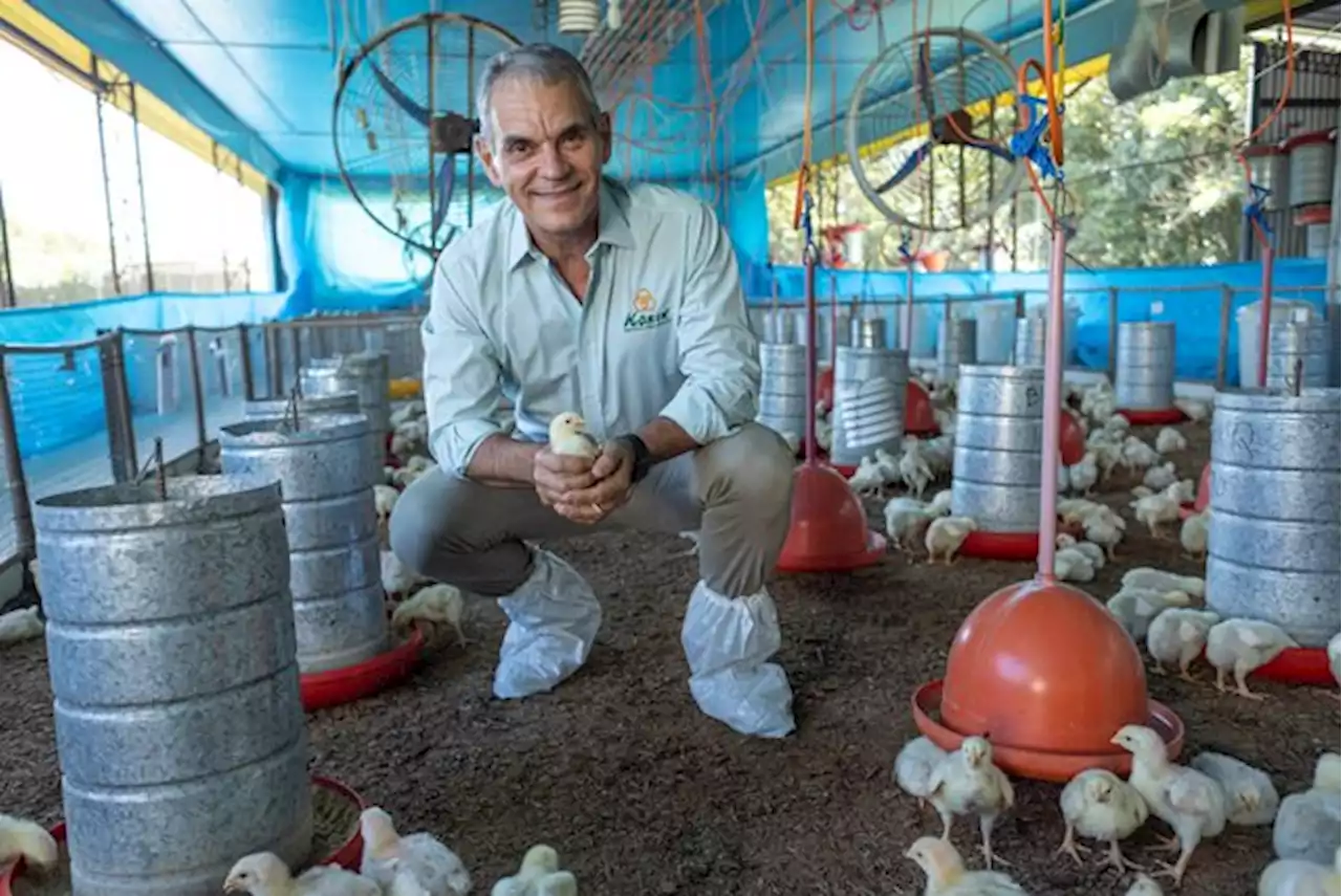 Ein brasilianisches Unternehmen setzt auf Bio-Produktion - bauernzeitung.ch