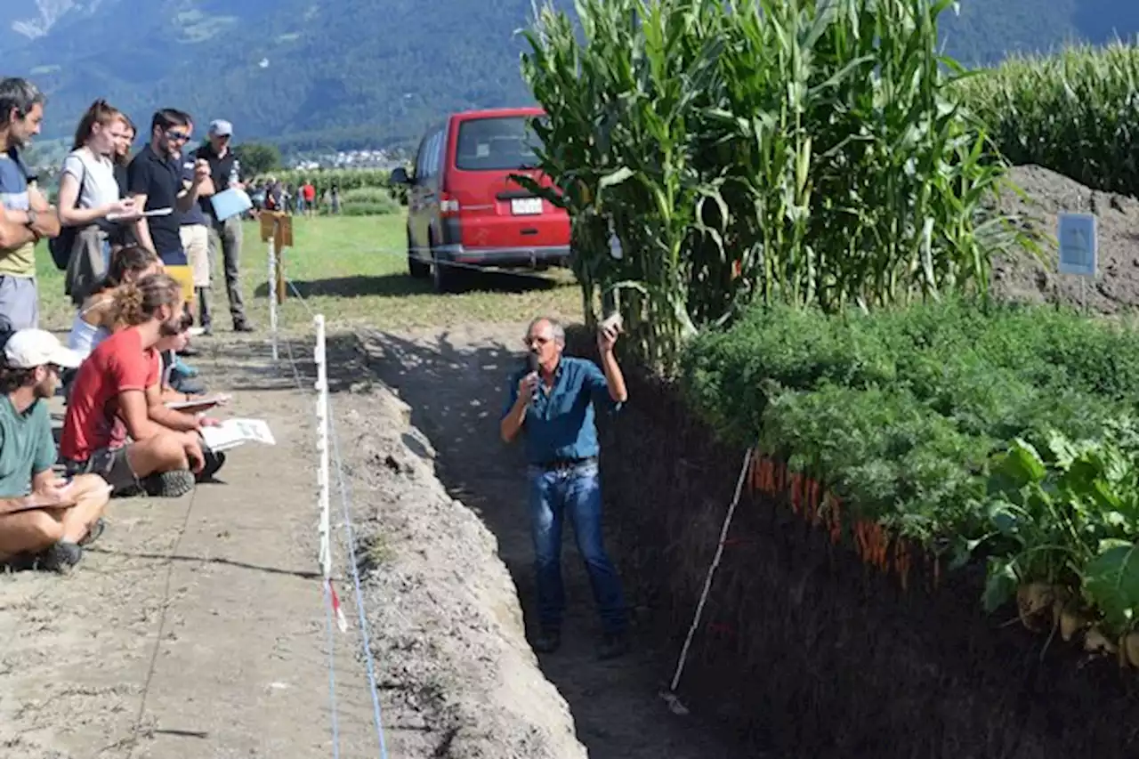 Ein guter Boden ist die beste Versicherung für ein gesundes Pflanzenwachstum - bauernzeitung.ch