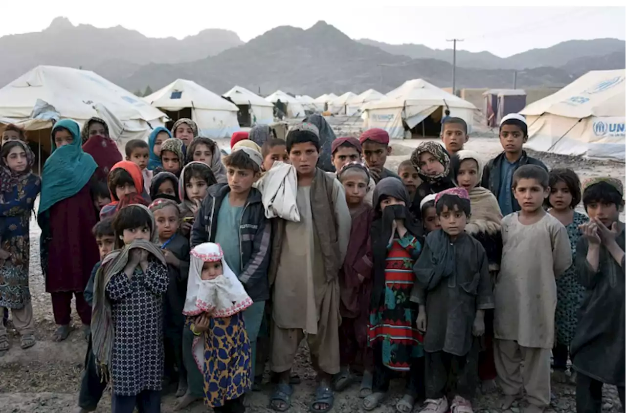 Canadian NGOs plead with government to remove restrictions on humanitarian aid to Afghanistan