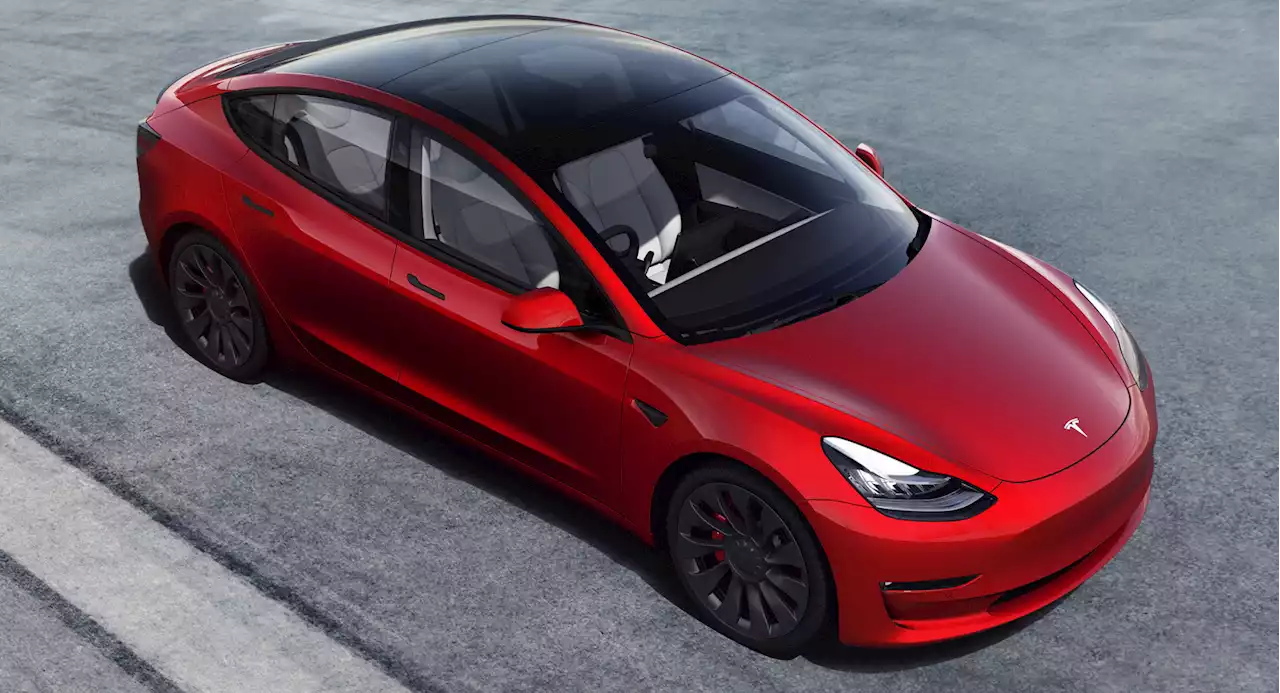 Tesla FSD Can Allegedly Be Tricked Into Stopping Early For Bigger Stop Signs | Carscoops