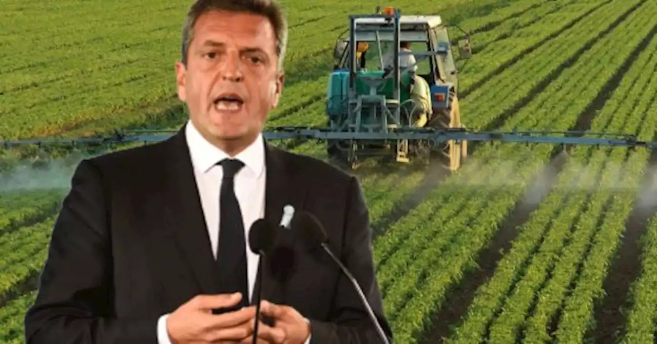 Medidas: Sergio Massa anuncia el nuevo d�lar para el campo antes de viajar al FMI