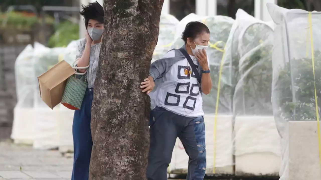 China, Japan ground ferries, flights as typhoon approaches