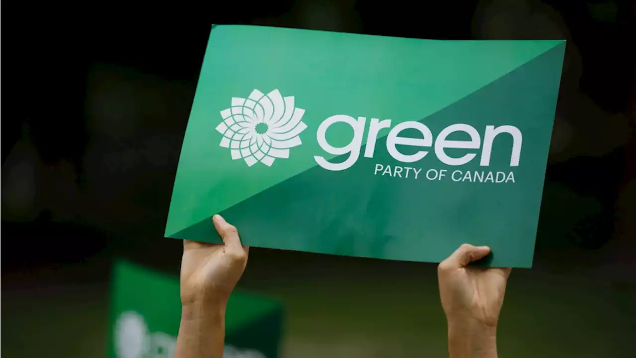 Green candidates introduce themselves at launch of 'amazing' leadership contest