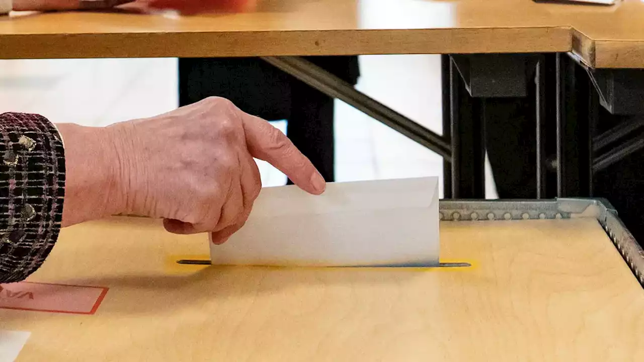 Demokratin – dummare än börsen?