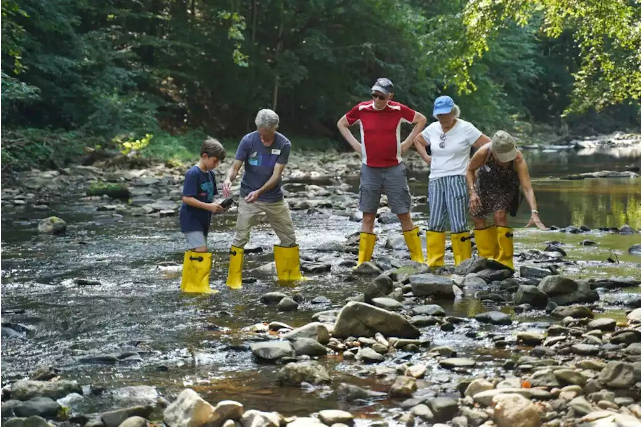 Three Local Streams Get 'Meh' Quality Ratings From Local Audubon Society