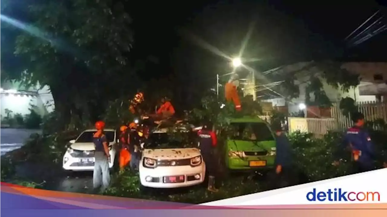 Dahan Tumbang Timpa 3 Mobil di Bogor Akibat Hujan Deras-Angin Kencang