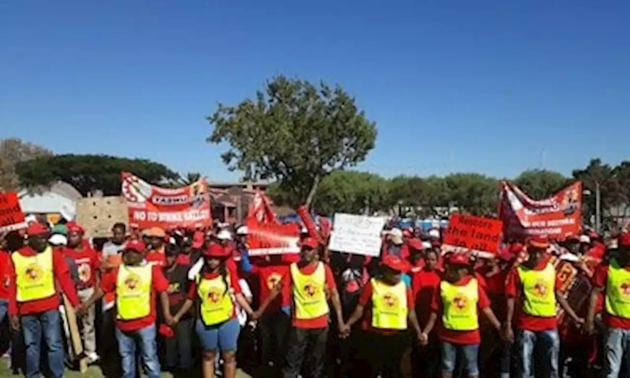 Saftu warns govt over 'insulting' wage offer