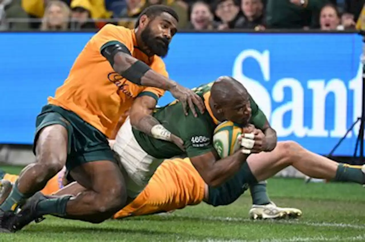 Springboks believe again after dominating Wallabies win: Kolisi