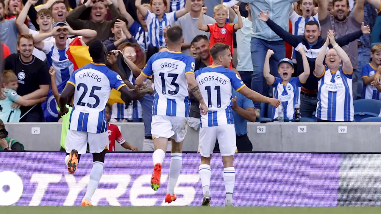 Brighton 5-2 Leicester City: Five-star Seagulls turn on the style against winless Foxes