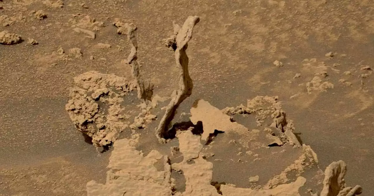 NASA Rover Spots Extremely Weird Spikes on Mars