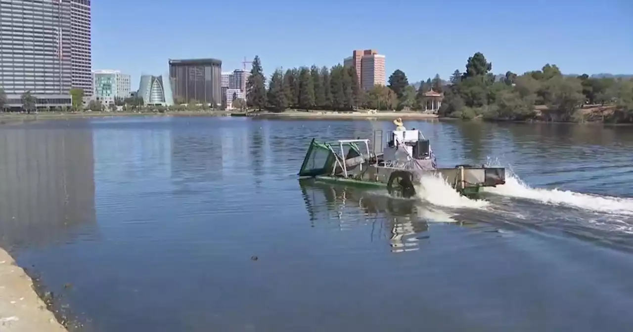 Odd-looking paddle boat key to Lake Merritt water quality