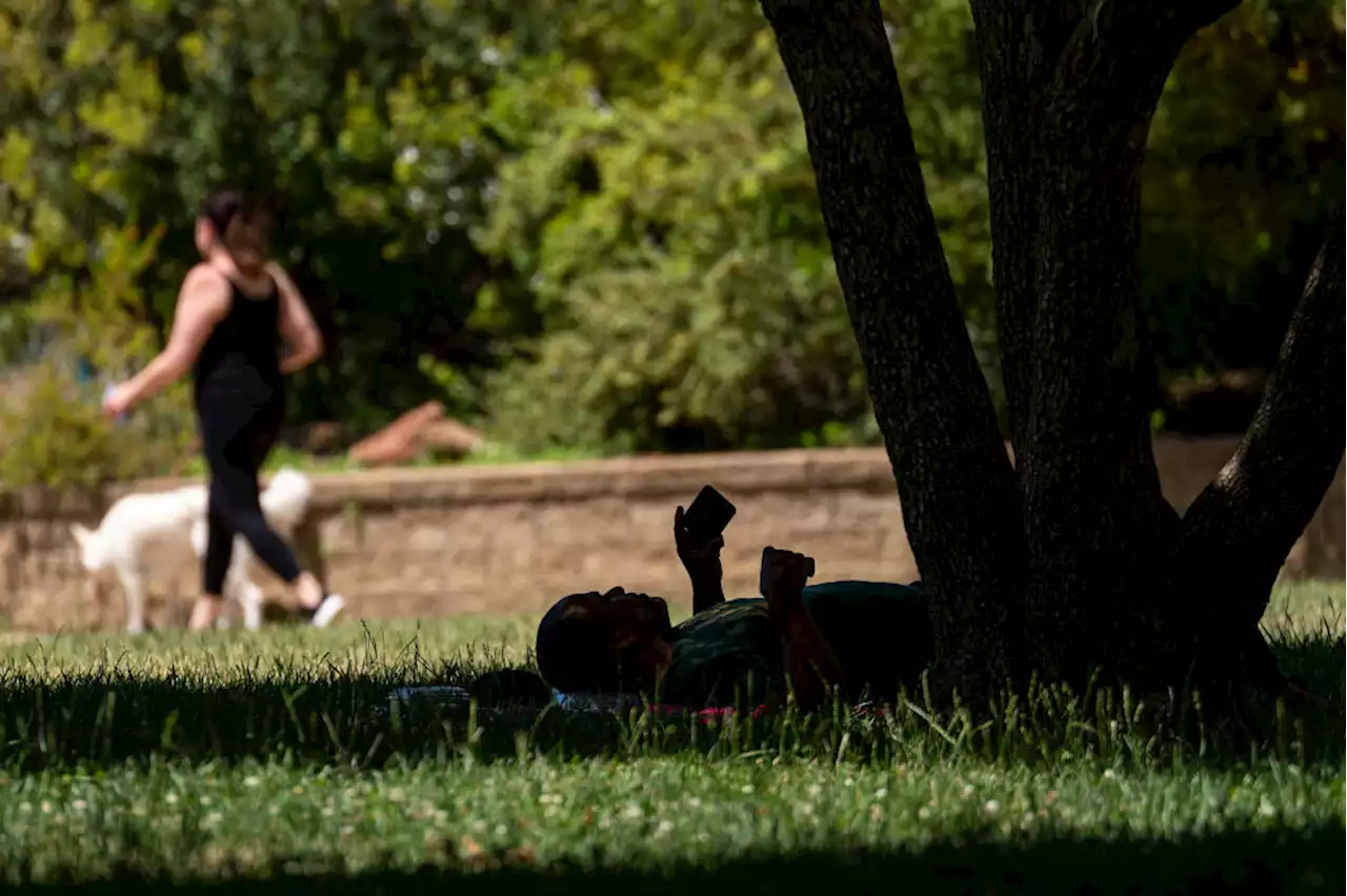 Californians Asked to Conserve Power Amid Brutal Heat Wave