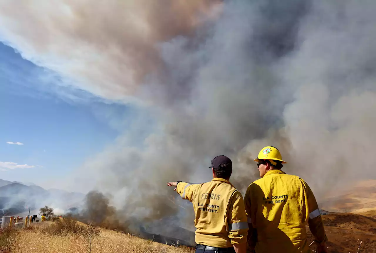 Fire Crews Make Progress on 5,208-Acre Castaic Brush Fire