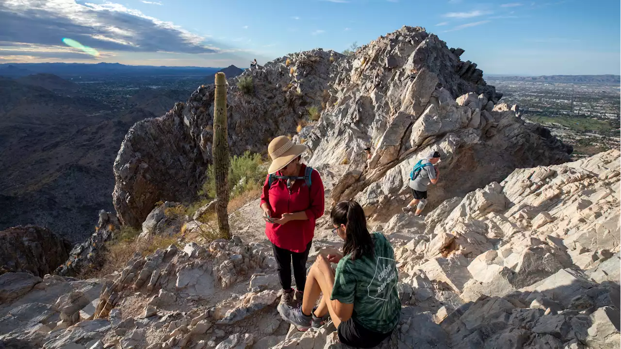 Your local park has a hidden talent: helping fight climate change