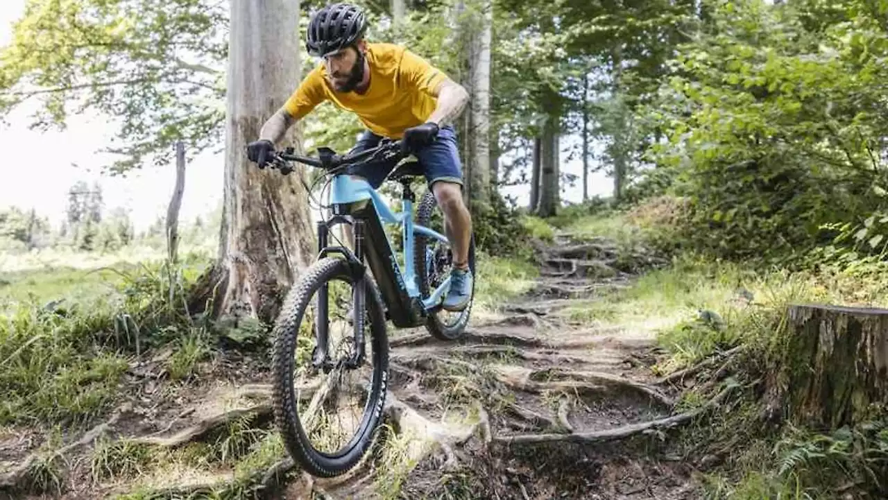 Für wen lohnt sich der Kauf eines Pedelecs?