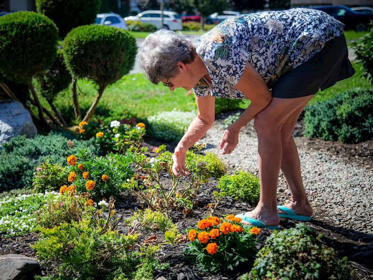 'I question the logic': City tells grandmother to replace part of front garden with grass