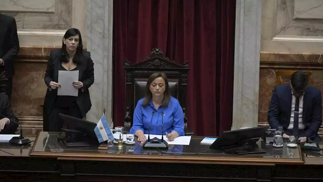 La Cámara de Diputados se pronunció con un repudio por el ataque a Cristina | La resolución fue aprobada por amplia mayoría en una sesión especial