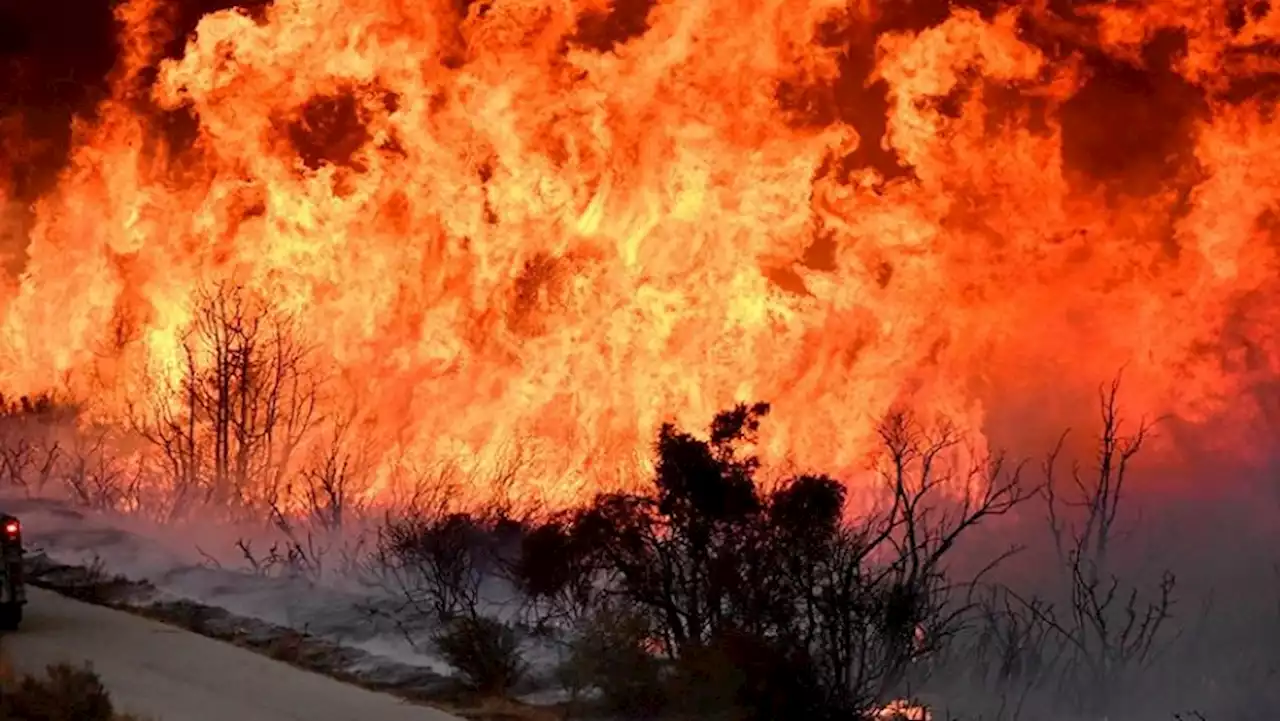 Communities in Limpopo concerned that there are no resources to deal with veld fires in rural areas - SABC News - Breaking news, special reports, world, business, sport coverage of all South African current events. Africa's news leader.