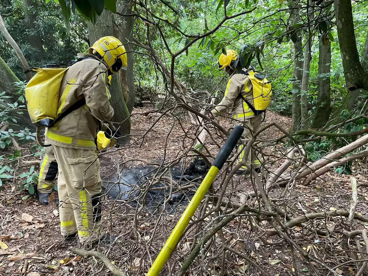 Firefighters appeal to public not to light fires in dry woodland after blaze