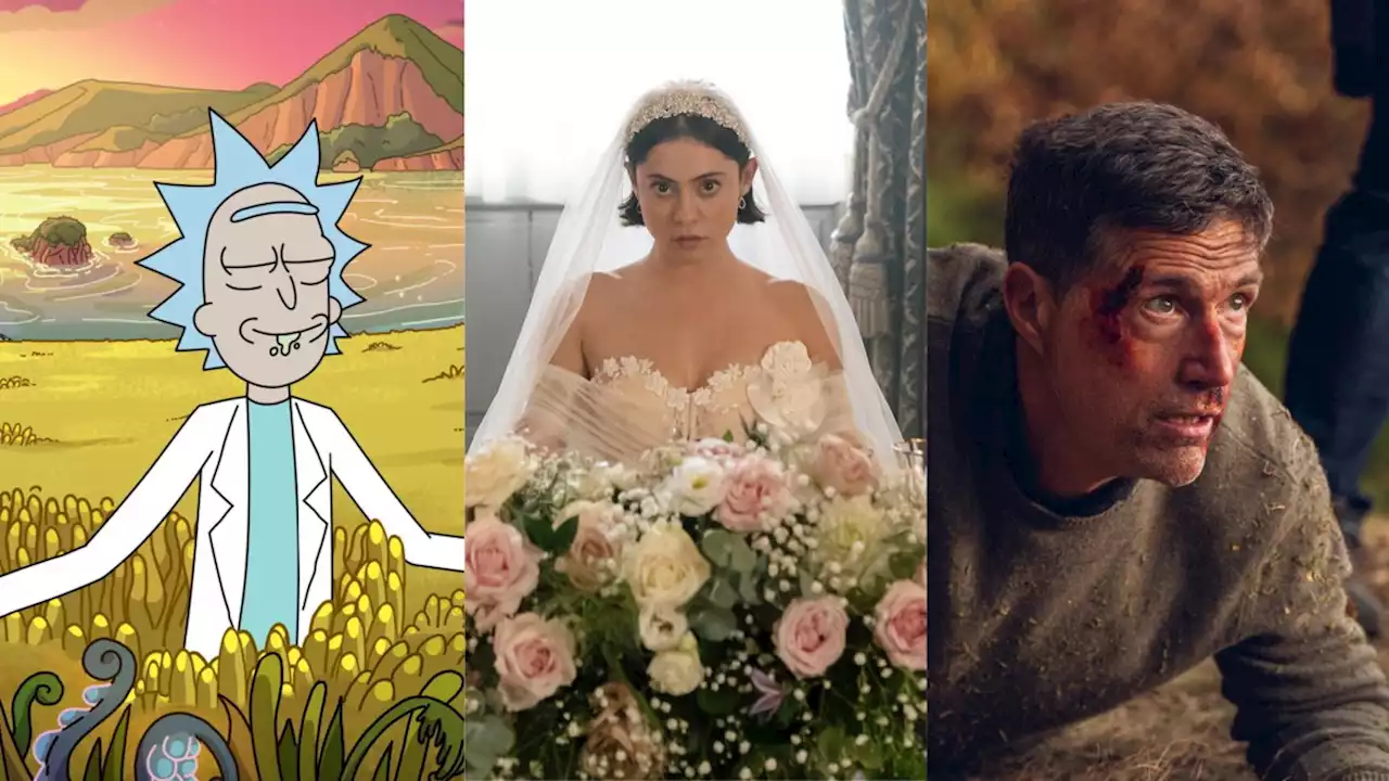 What's on TV this week—Rick And Morty, Wedding Season, Last Light