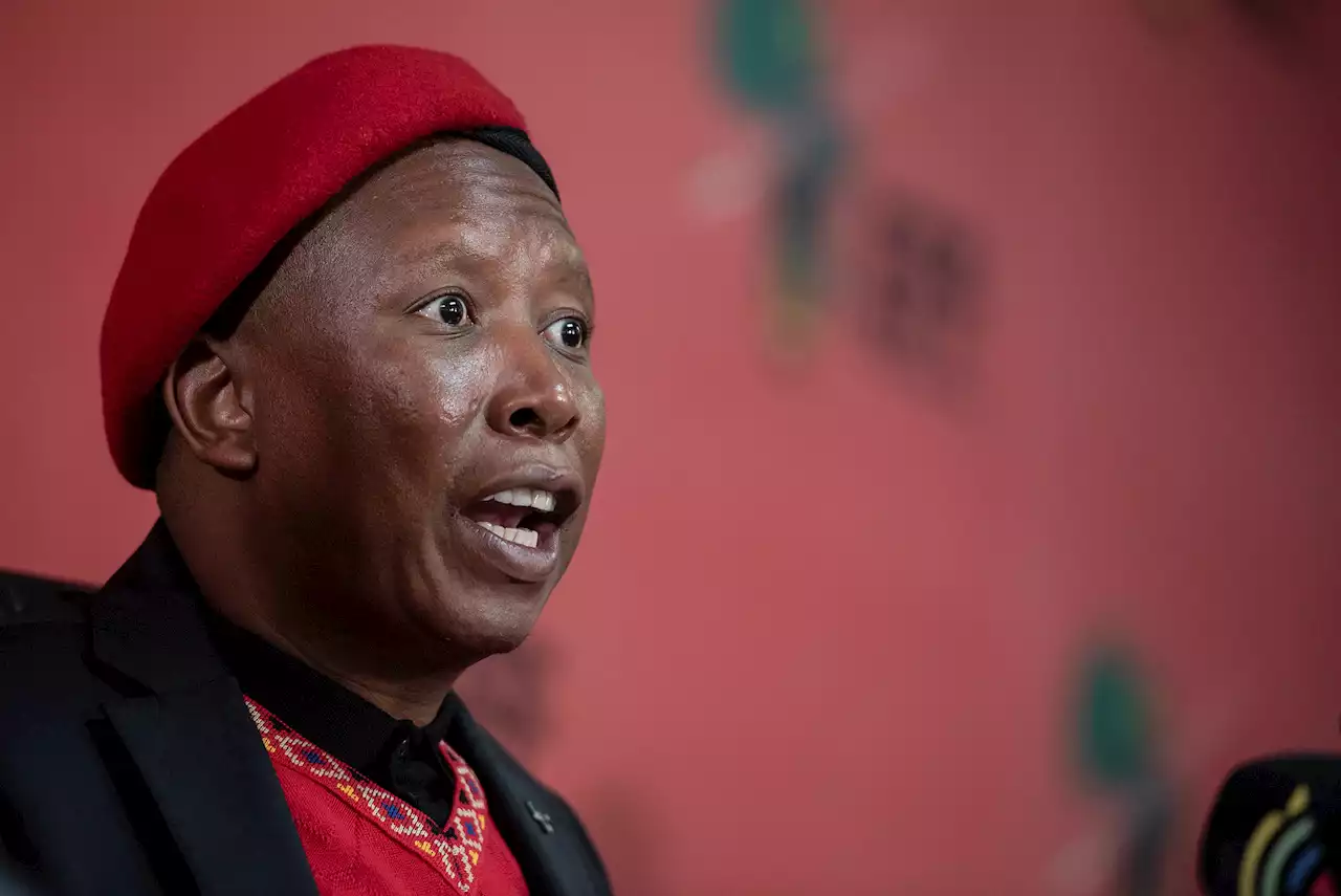 Malema takes aim at Ramaphosa over potholes 'on a gravel road' video | The Citizen