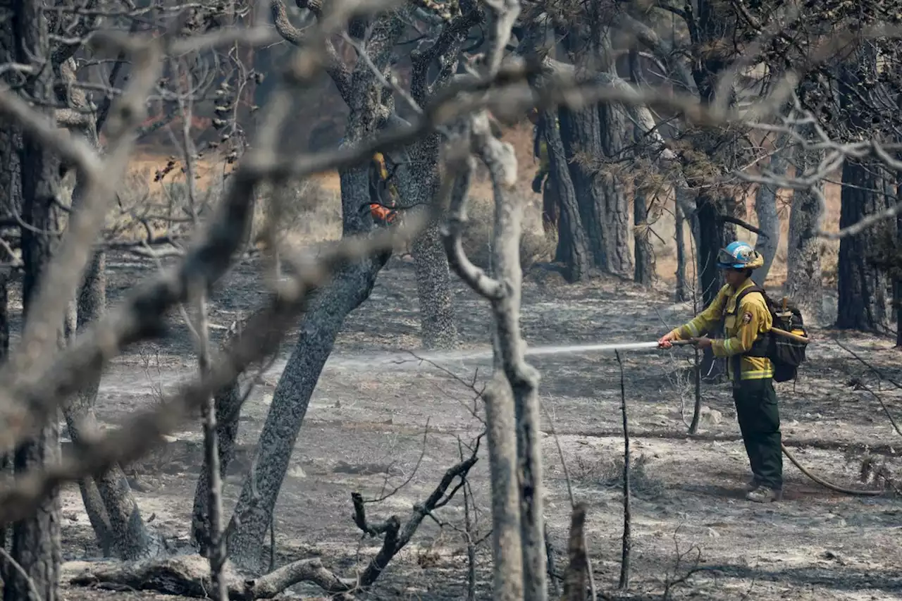 California blaze destroys 100 homes as thousands flee