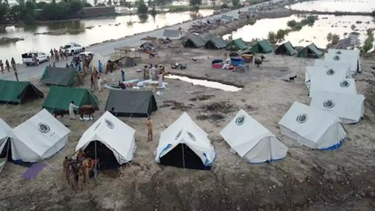 Toll beyond 1,260 as dozens more die from 'catastrophic' Pakistan floods