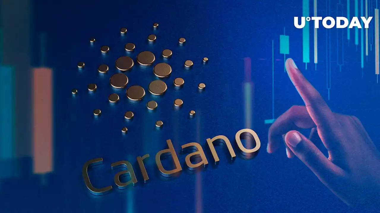 Cardano Flips XRP in Rankings as ADA Price Reacts With 30% Spike in Trading Volumes