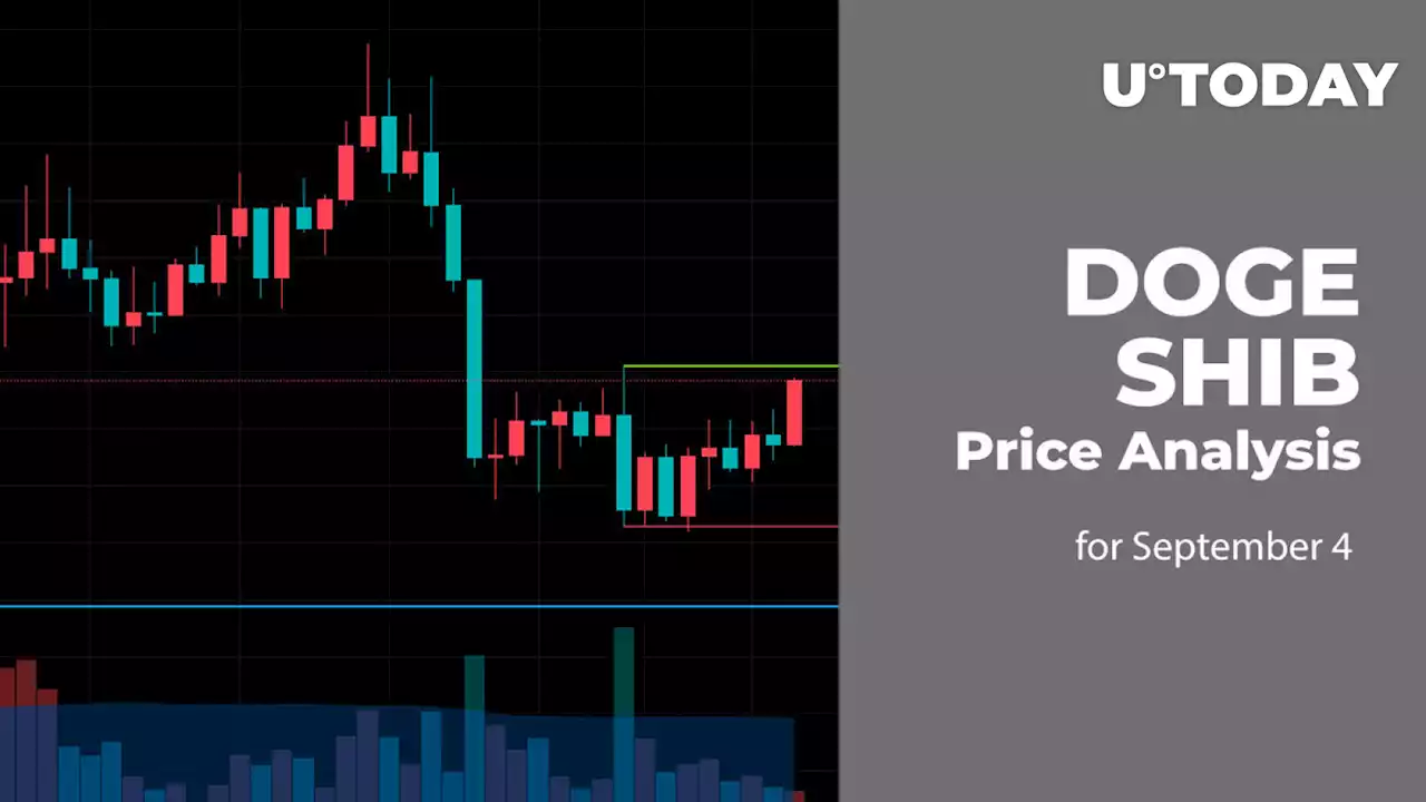 DOGE and SHIB Price Analysis for September 4