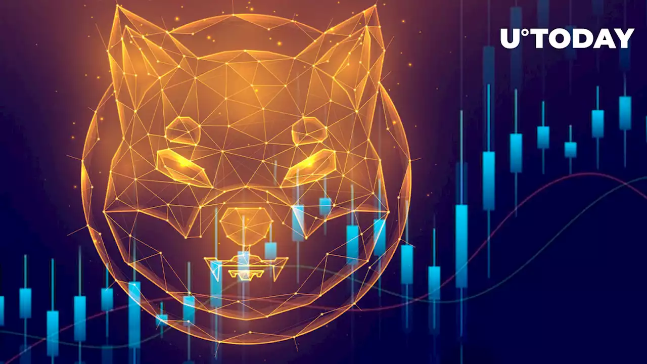 Shiba Inu (SHIB) on Verge of Major Price Move; Here's Why