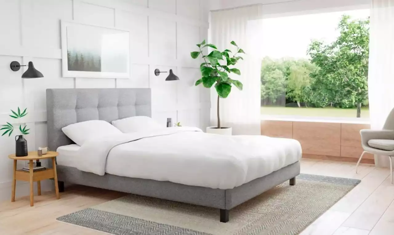 Endy Upholstered Bed frame review: Chic and easy to assemble