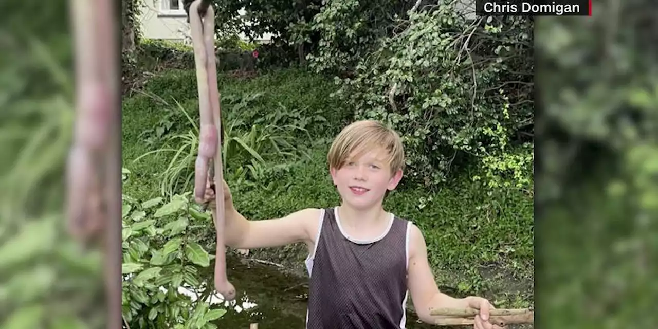 Boy finds giant worm in backyard