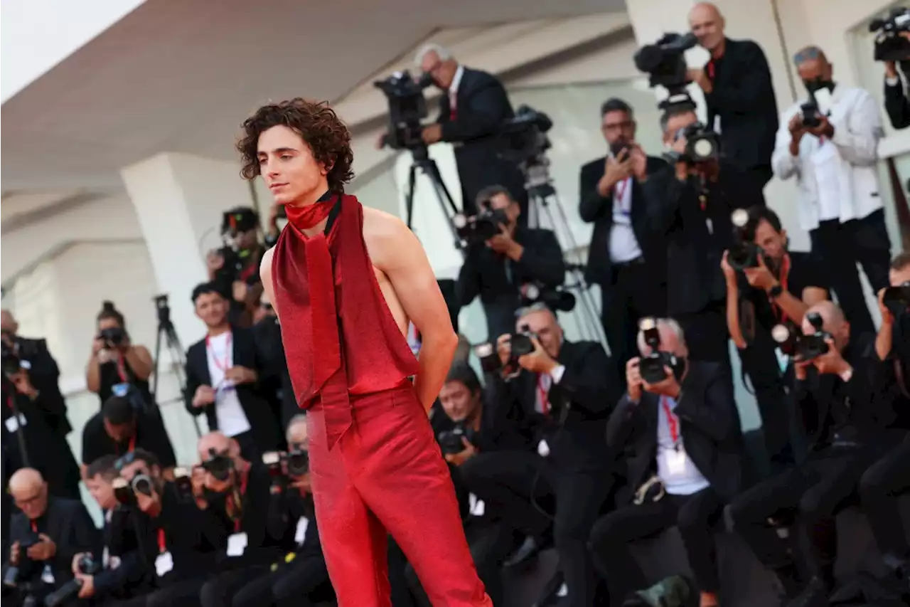 Timothée Chalamet Goes Edgy in Backless Haider Ackermann Top at ‘Bones & All’ Premiere at Venice Film Festival